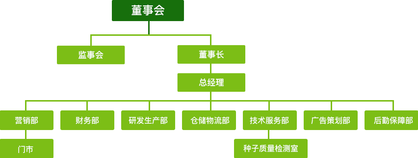 公司架构